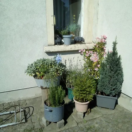 Ferienwohnung Monteurzimmer Bretnig Grossrohrsdorf Exterior photo