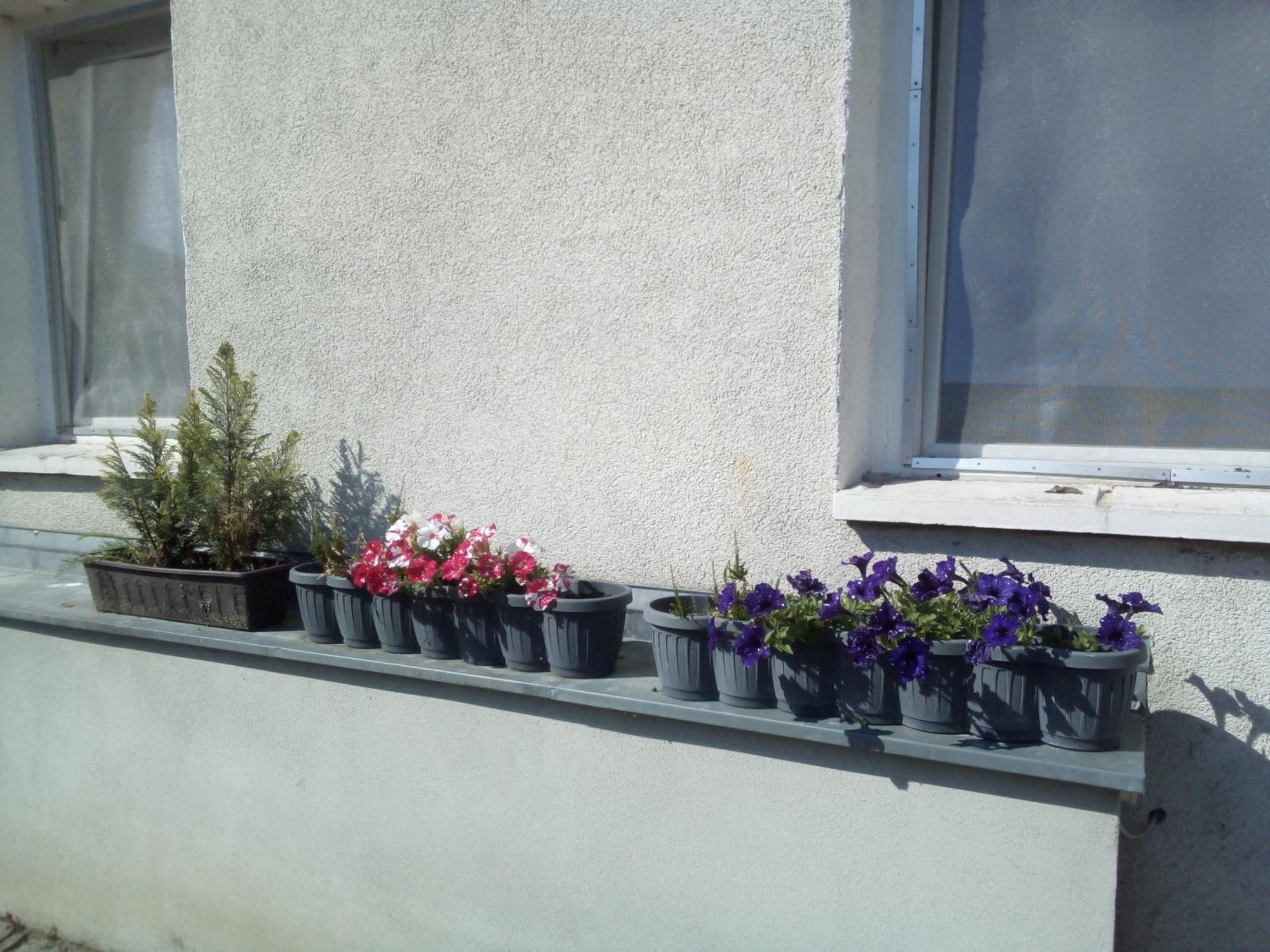 Monteurzimmer Bretnig Apartment