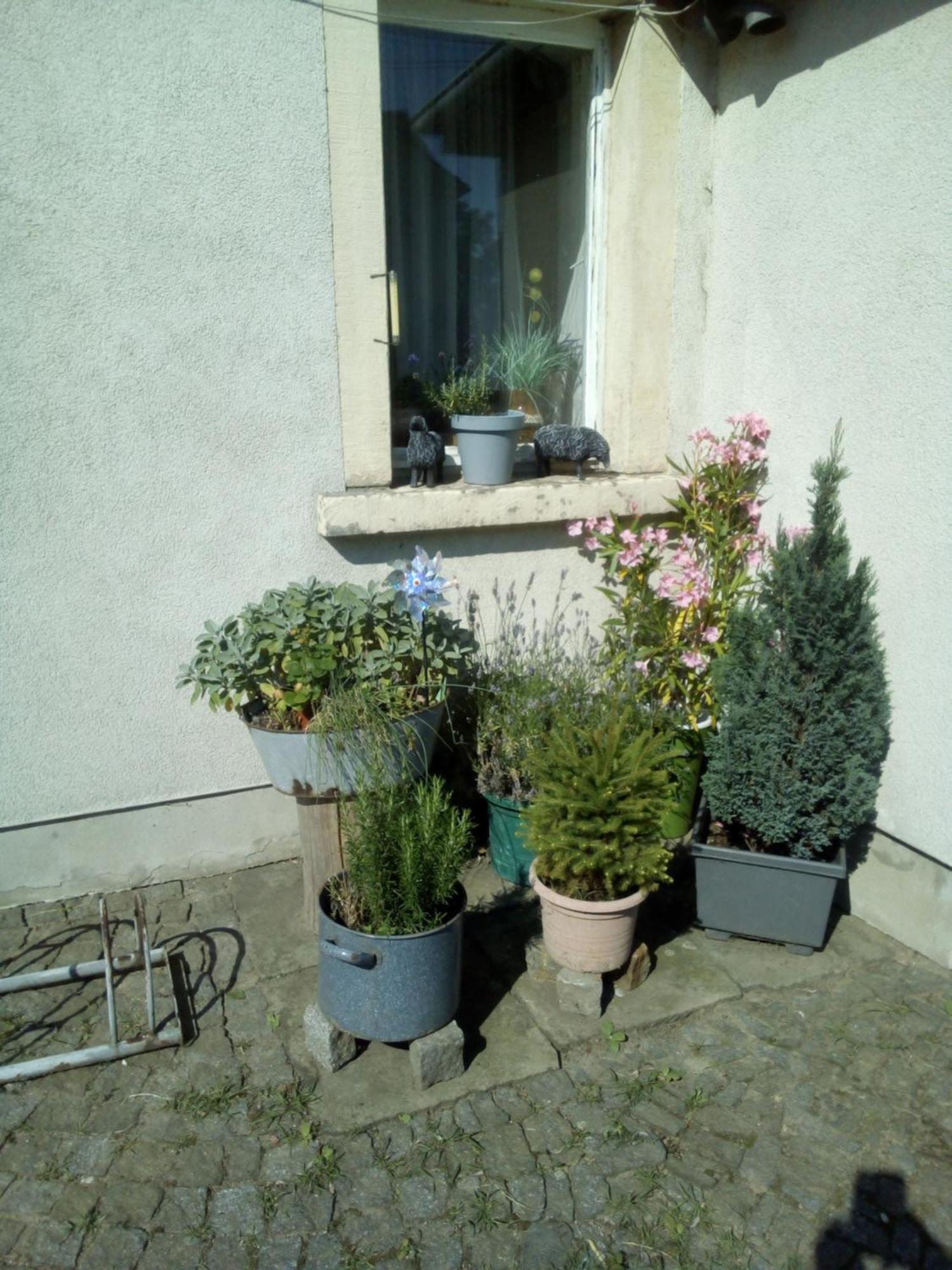 Apartment Monteurzimmer Bretnig